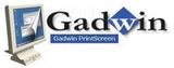 Gadwin Systems Inc