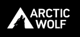 Artic Wolf Networks