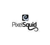 PixelSquid