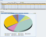 SAP Portal Analytics