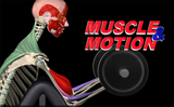 Muscle & Motion