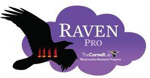 Raven Pro